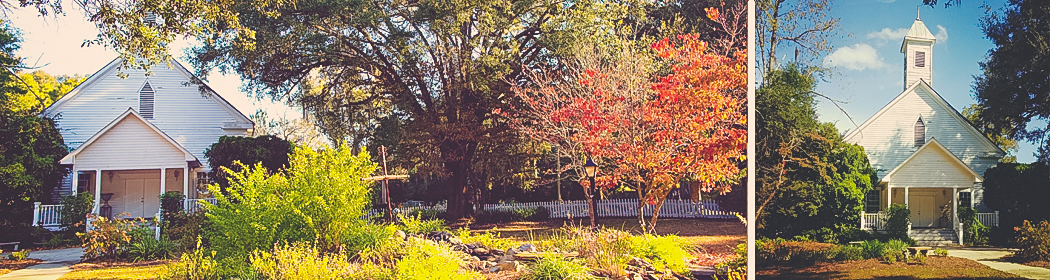 Shiloh Farm » My blog